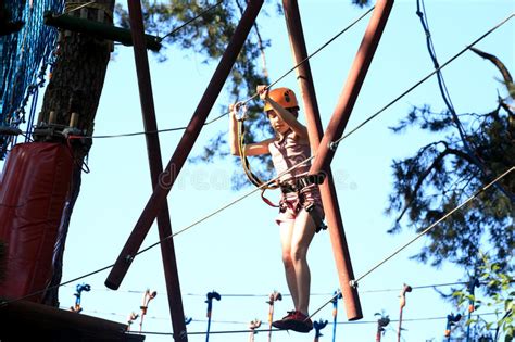 攀登绳索公园，女孩的eenager上升在冒险公园 库存图片 图片 包括有 孩子 极其 勇气 路线 35647087