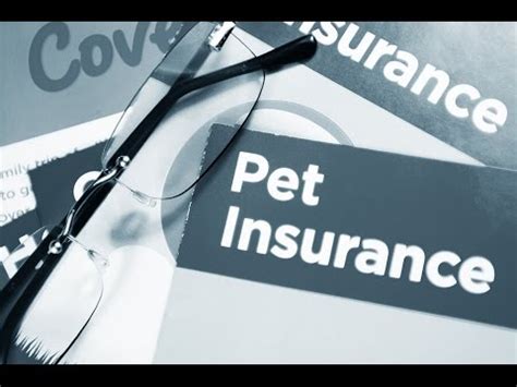 Check spelling or type a new query. The Best Pet Insurance Reviews - YouTube