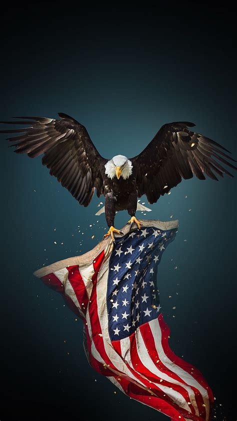 USA America American Bird Country Eagle Eagles Flag HD Phone Wallpaper Peakpx