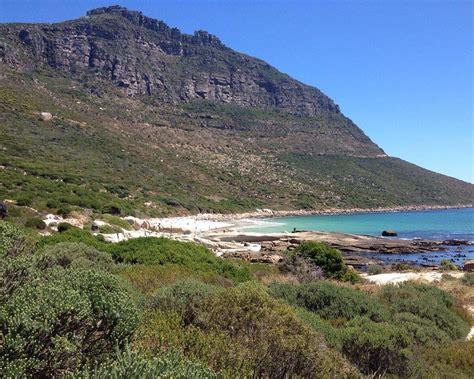 Sandy Bay Cape Town Central All You Need To Know Before You Go