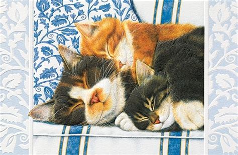 Fri, jun 28, 2019, 6:07pm edt Sleepy Kitties (Single) | Single Card