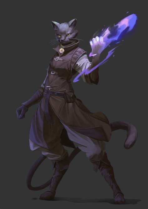 Rf Mythic Tabaxi Wild Sorcerer Characterdrawing Cat Character