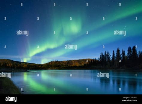 The Aurora Borealis Northern Lights Over The Klondike River Yukon