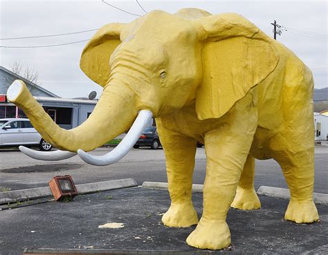 Elephant Mammoth And Mastodon Statues