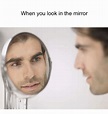 Mirror Memes