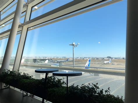 Maybe you would like to learn more about one of these? 日本からメキシコへ戻りました | メキシコからこんにちは!