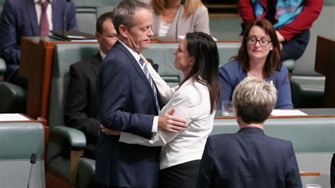 Bill Shortens Labor Party Deliberately Leaked Investigation Sex