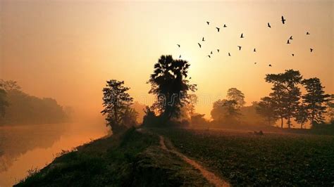 Winter Morning Sunrise Stock Photo Image Of Bangladesh 135697768
