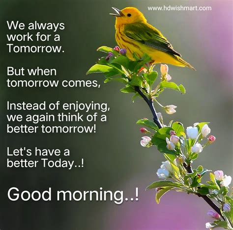 25 Best Good Morning Wishes 2020 Hd Wishes Messages And Quotes Hdwishmart