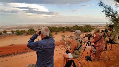 Courses — Broome Bird Observatory