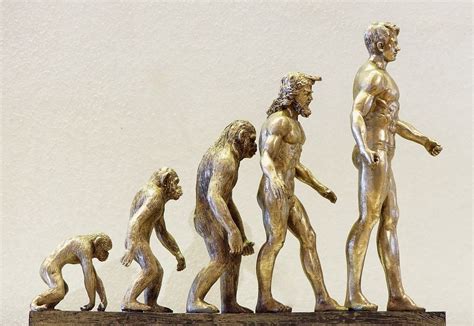 Proceso de hominización y predecesores del Homo Sapiens Temario
