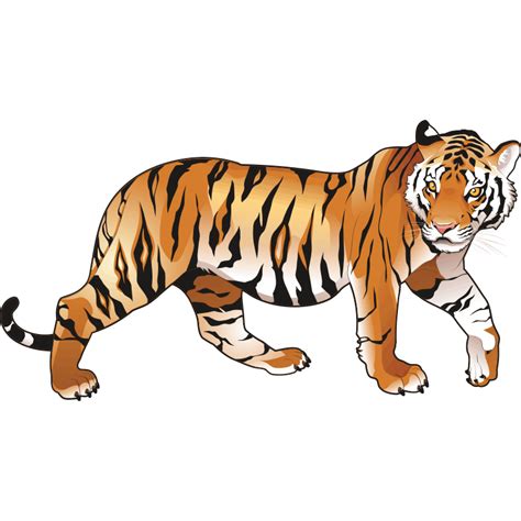 Gambar Harimau Kartun Berwarna Paling Keren Gambar Kartun Buah Buahan