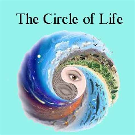 Our Life Is A Complete Circle Hubpages