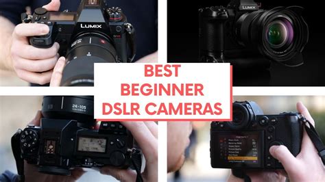 Best Beginner Dslr Cameras 2019 10 Best Cheap Dslr Cameras For