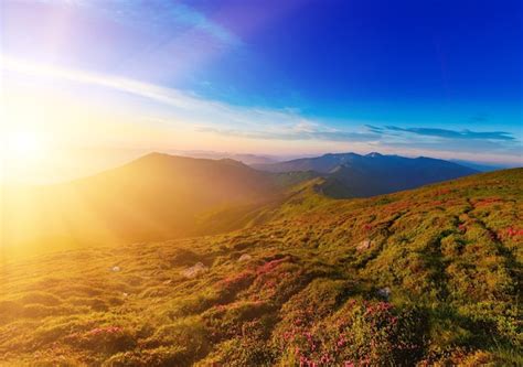 Premium Photo Amazing Mountain Sunrise