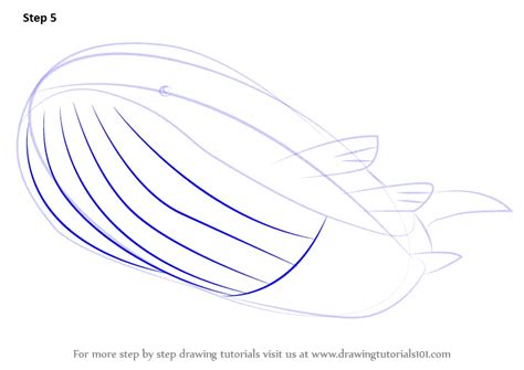 Step By Step How To Draw Wailord From Pokemon