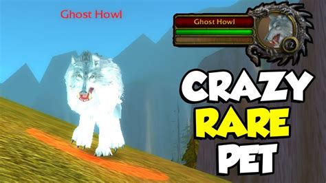Finding a 0.04% Chance RARE PET! [Gone Wrong] - WoW ...