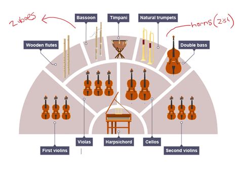 A Beginners Guide To The Orchestra Part 2