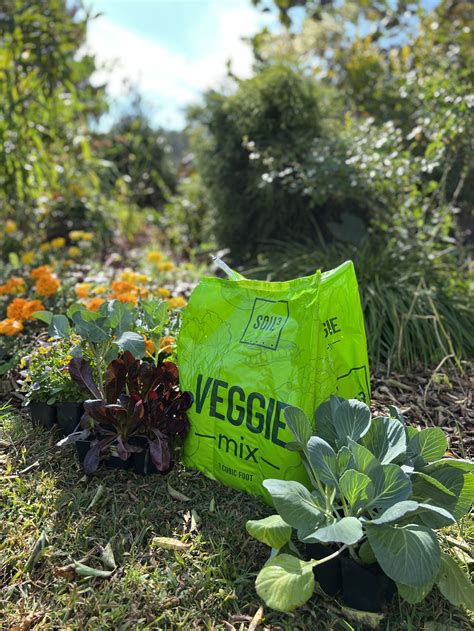 Soil3 — Brie Grows