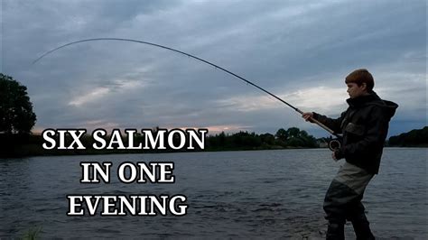 Six Salmon From The River Tay Salmon Fishing August 2022 Youtube