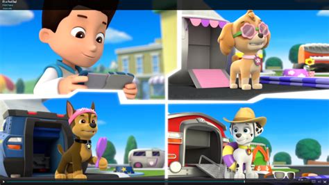 Skyegallerypups Save A Pool Day Paw Patrol Wiki Fandom