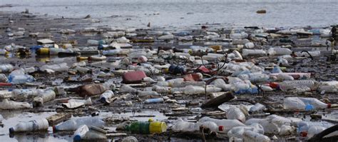 Plastik Im Meer Fakten Folgen Und Eine Hilfreiche App Yello