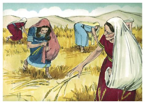 Book Of Ruth 8 Incredible Hidden Gems Thatll Change Your Life