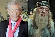 Why Ian McKellen turned down ‘Harry Potter’ role | Page Six