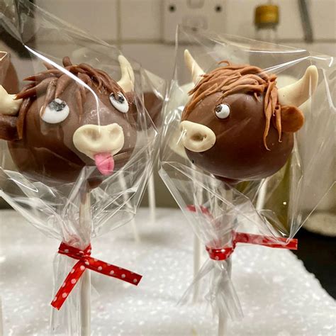 Highland Cow Cake Pops Cow Birthday Parties Cow Birthday Cow Cakes