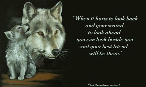 Wolf Love Quotes Quotesgram