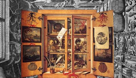 Cabinet Of Curiosities Laurence Matteson
