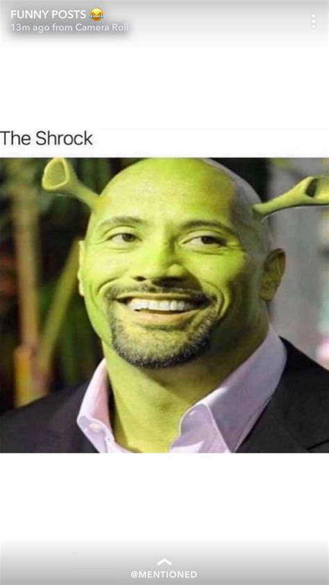 14 Funny Memes With Shrek Factory Memes