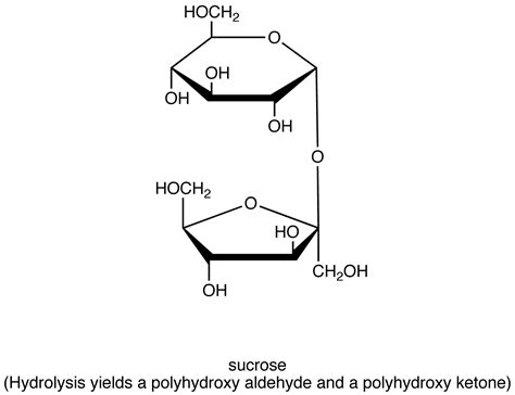 Carbohydrate Chemistry Libretexts