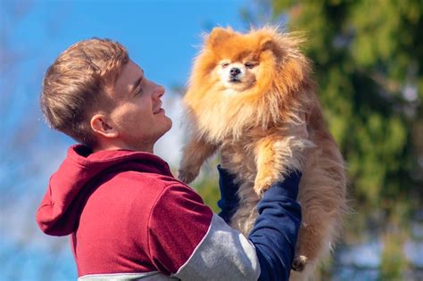 Premium Photo Handsome Guy Young Lovely Man Owner With Pomeranian