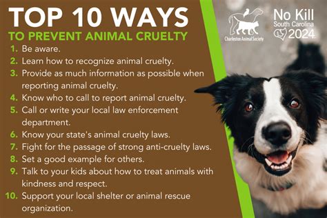 Fight Animal Cruelty Charleston Animal Society