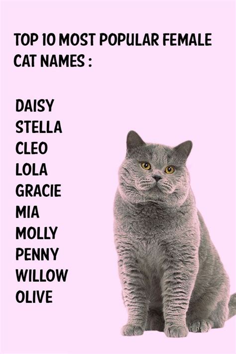 Top 10 Most Popular Female Cat Names