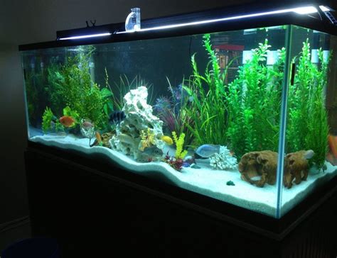 225 Gallons Fish Tanks And Aquariums