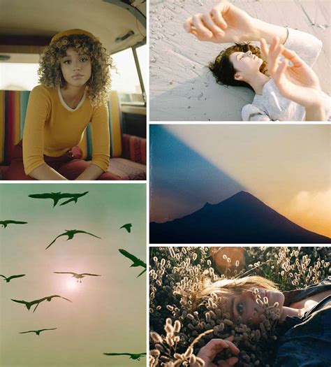 Instagram Roundup Milestones Shoot It With Film