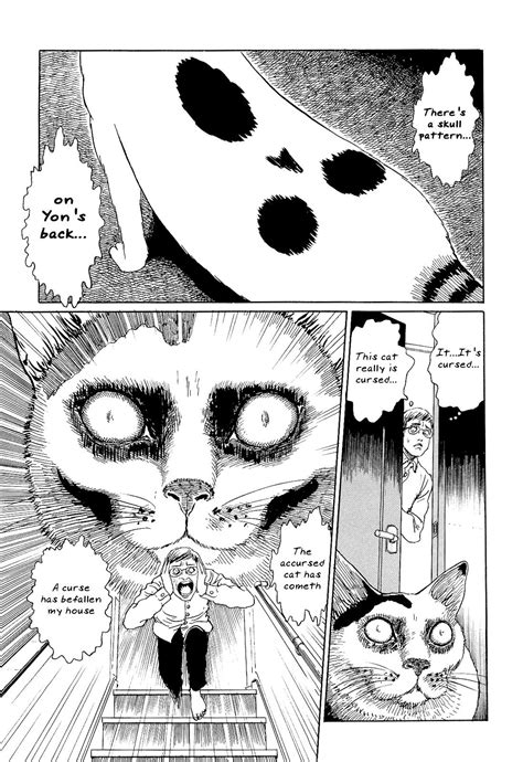Ito Junjis Cat Diary Cat Diary Ero Guro Scary Images Japanese