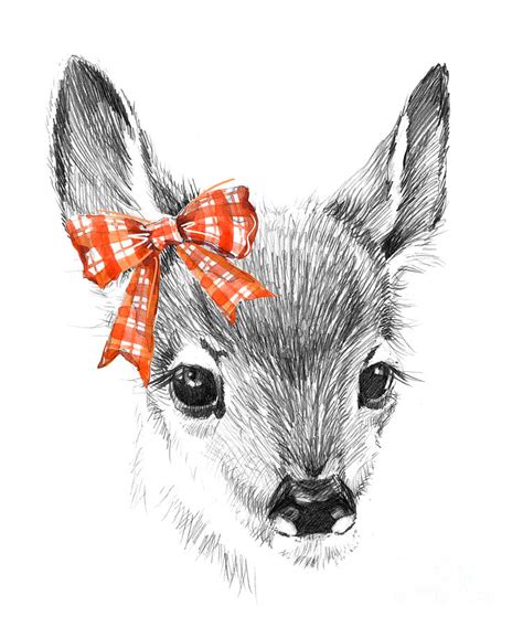Cute Deer Pencil Sketch Of Fawn Digital Art By Faenkova Elena Pixels