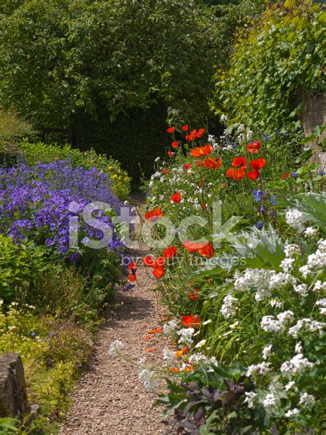 Beautiful Cottage Garden Path Stock Photo Royalty Free Freeimages