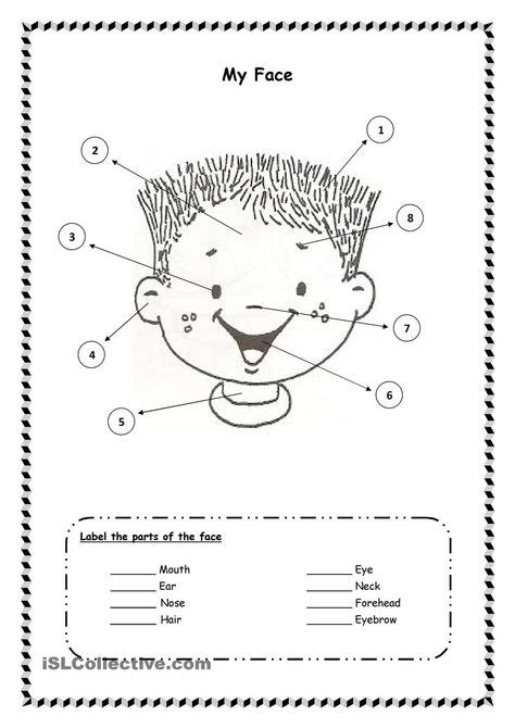 Parts Of The Face Teaching Resource Learning English For Kids 1st