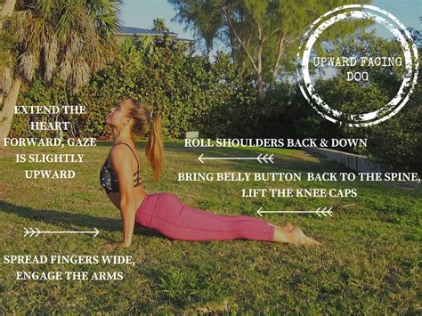 Sun Salutations The Most Important Yoga Sequence The Journey Junkie Yoga Sequences Upward