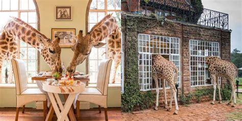 Giraffe Manor Kenya I Everything You Need To Know
