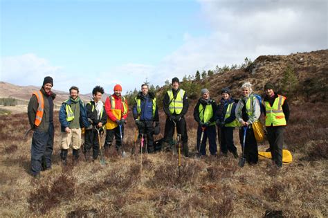 The insects appear under the leaves and can be removed with cotton swabs dipped in alcohol. Tree planting, meditation and Buddhism | Trees for Life