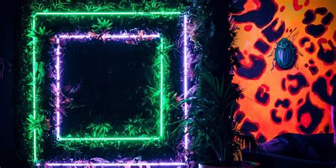 Neon Jungle Visual Architects