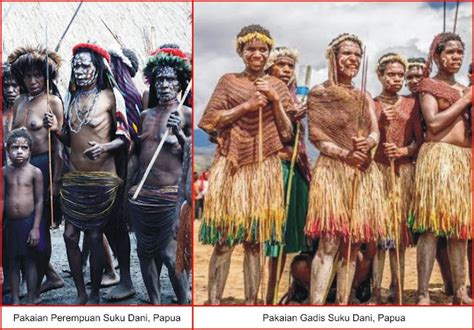 Pakaian Adat Papua Lengkap Gambar Dan Penjelasanya Seni Budayaku