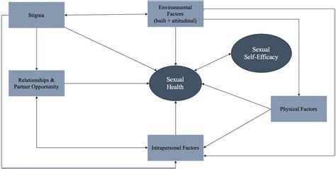 Development Of A Conceptual Framework Of Sexual Well Being For Women With Physical Disability