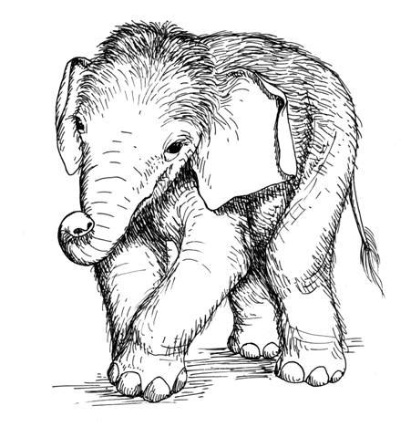 Learn about endangered animals and their babies or prepare for a farm field trip with free animal coloring pages. Free Elephant Coloring Pages - Get Coloring Pages