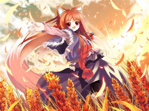 Anime Wolf Girl Wallpapers Wallpaper Cave